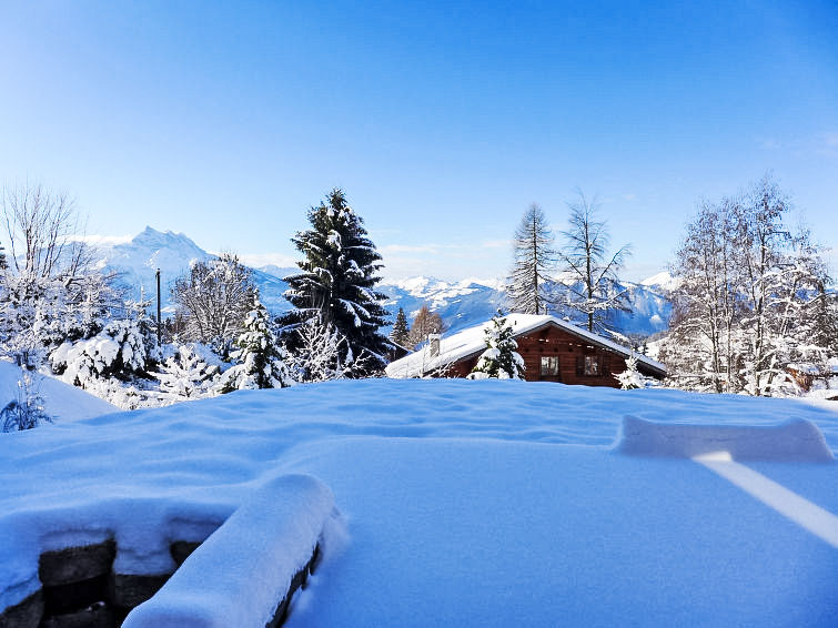 Foto van exterieur van Vakantiehuis Villarsin de winter