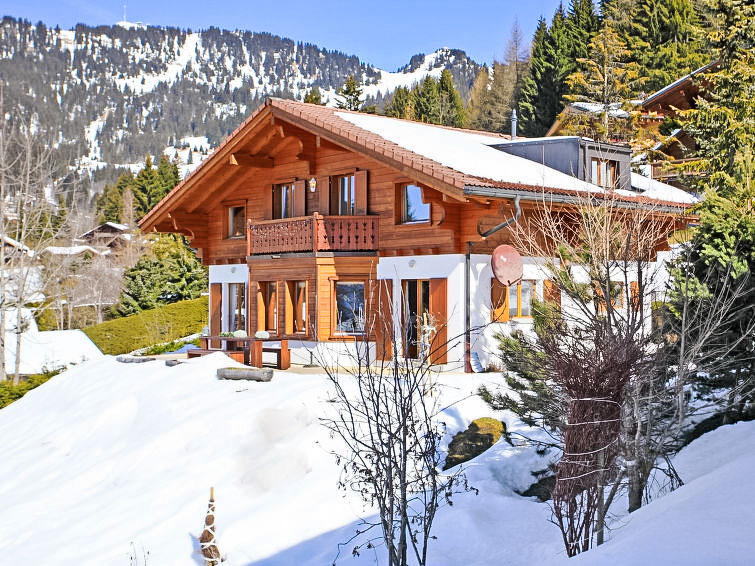 Foto van exterieur van Vakantiehuis Villarsin de winter