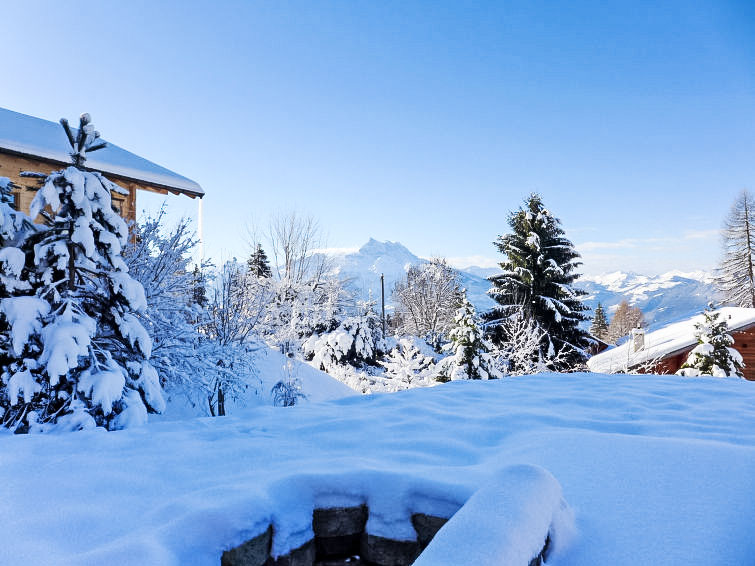Foto van exterieur van Vakantiehuis Villarsin de winter