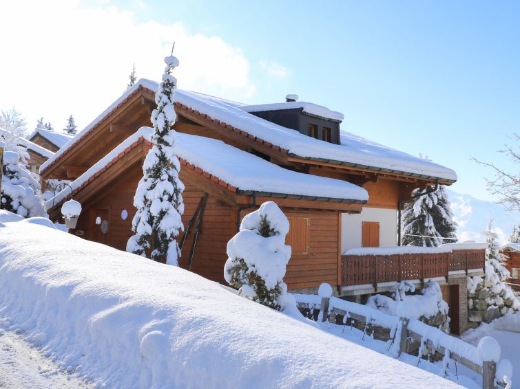Foto van exterieur van Vakantiehuis Villarsin de winter