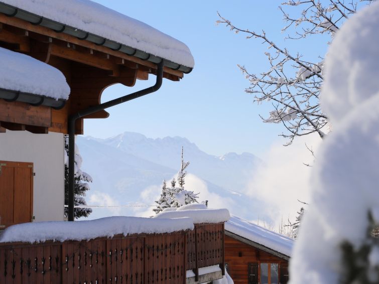 Foto van exterieur van Vakantiehuis Villarsin de winter