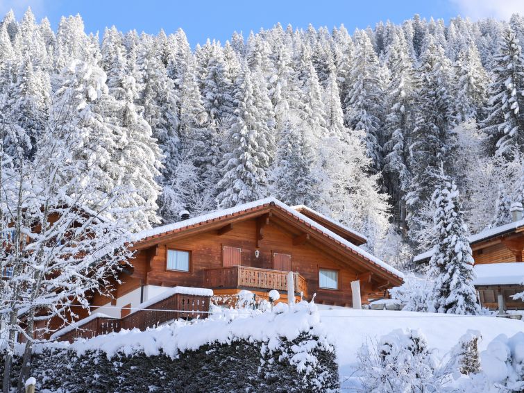 Foto van exterieur van Vakantiehuis Villarsin de winter