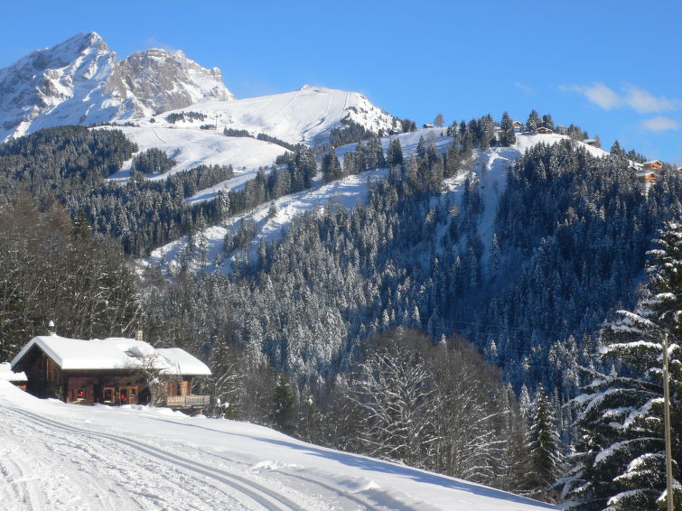 Foto van omgeving van Appartement Villars