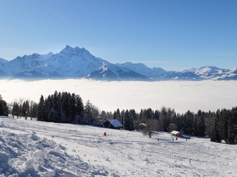 Foto van omgeving van Appartement Villars