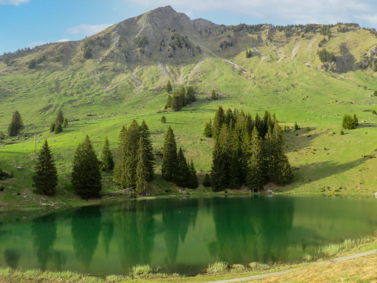 Foto van omgeving van Vakantiehuis Les Diablerets Foto van omgeving van Vakantiehuis Les Diablerets