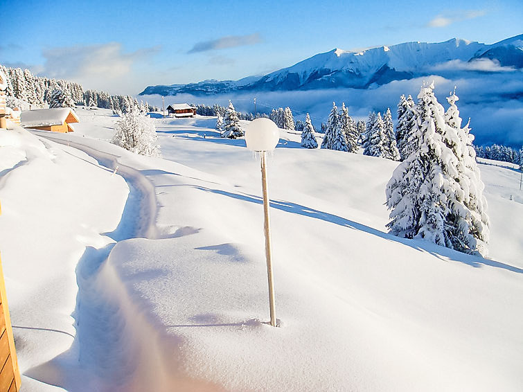 Foto van exterieur van Vakantiehuis Urmeinin de winter