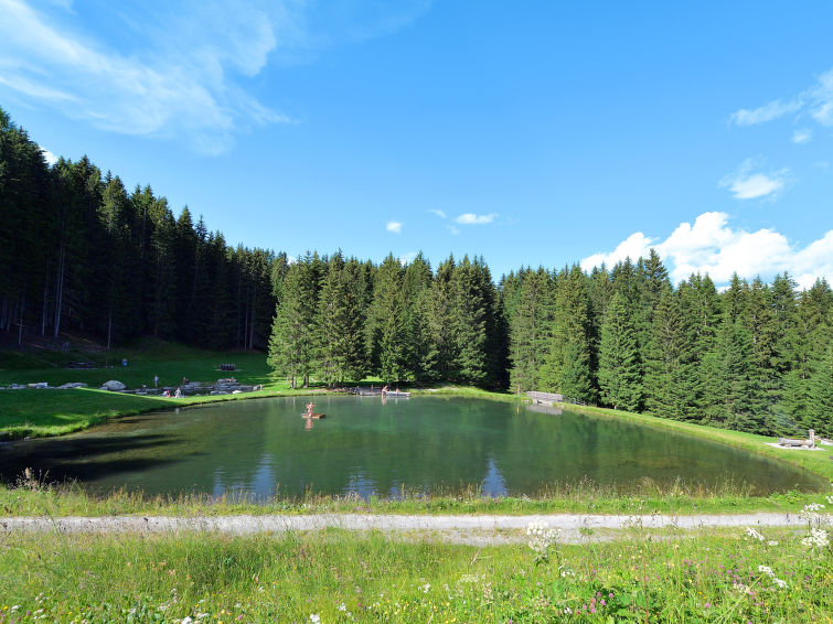 Foto van omgeving van Vakantiehuis Urmein