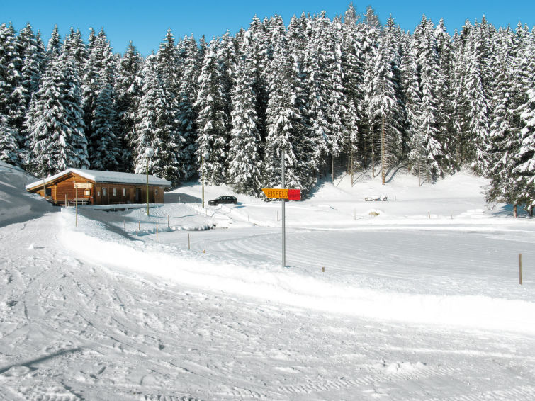 Foto van omgeving van Vakantiehuis Urmeinin de winter