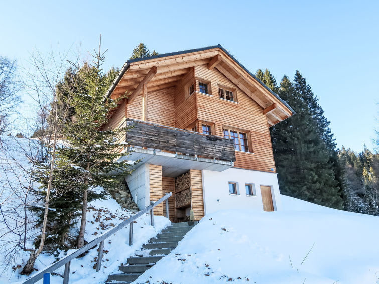 Foto van exterieur van Vakantiehuis Furnain de winter