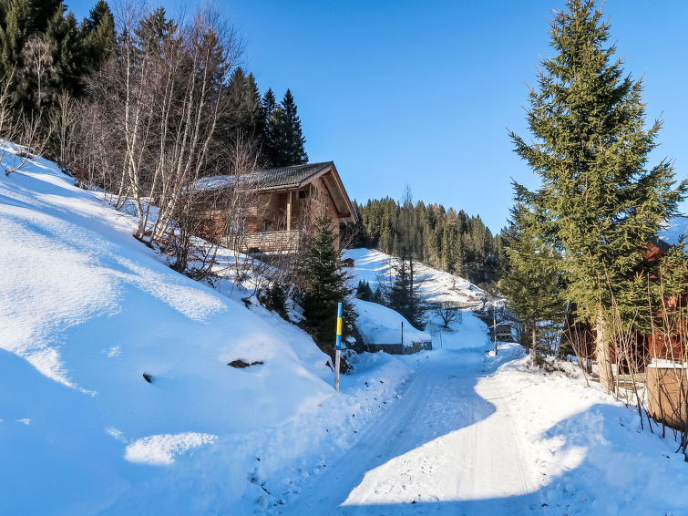 Foto van exterieur van Vakantiehuis Furnain de winter