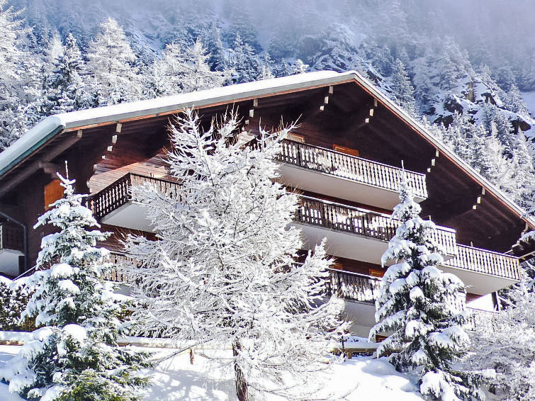Foto van exterieur van Appartement Champexin de winter