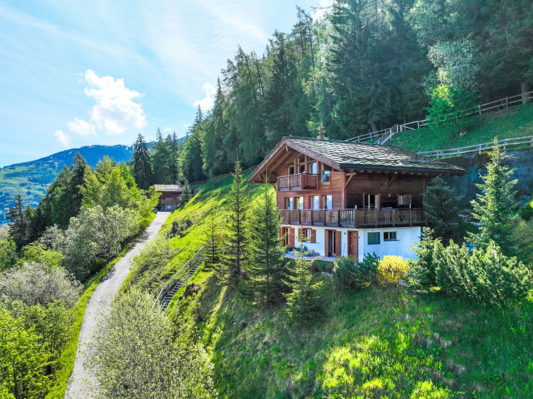 Foto van exterieur van Vakantiehuis Nendaz