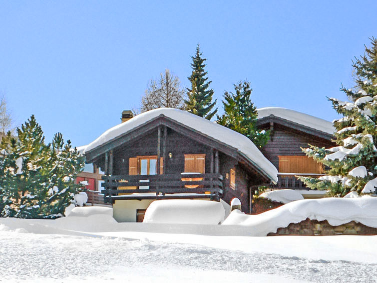 Foto van exterieur van Vakantiehuis Nendazin de winter