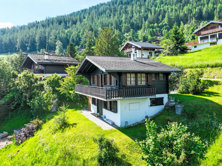 Foto van exterieur van Vakantiehuis Nendaz