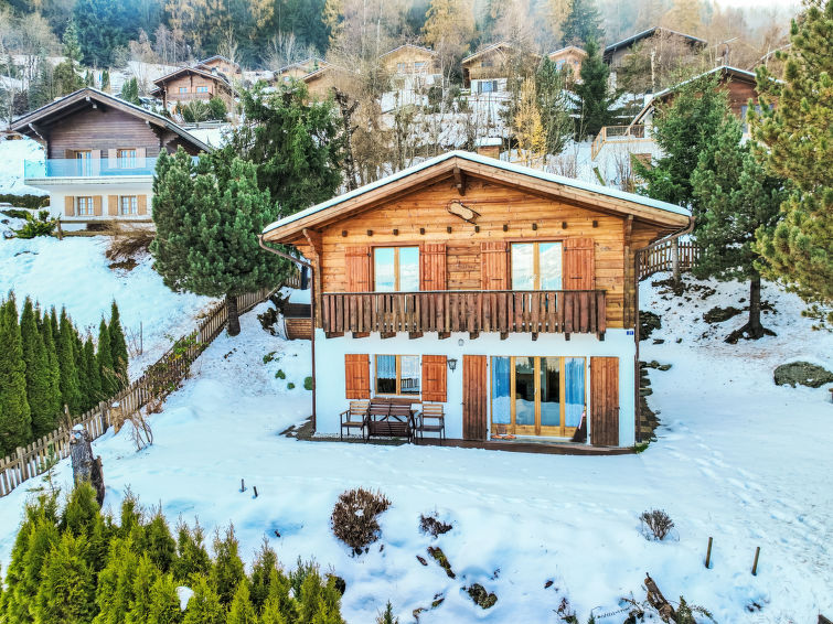 Foto van exterieur van Vakantiehuis Nendaz