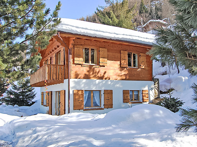 Foto van exterieur van Vakantiehuis Nendazin de winter