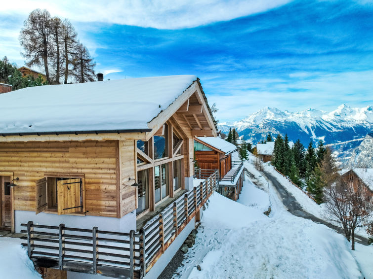 Foto van exterieur van Vakantiehuis Nendaz
