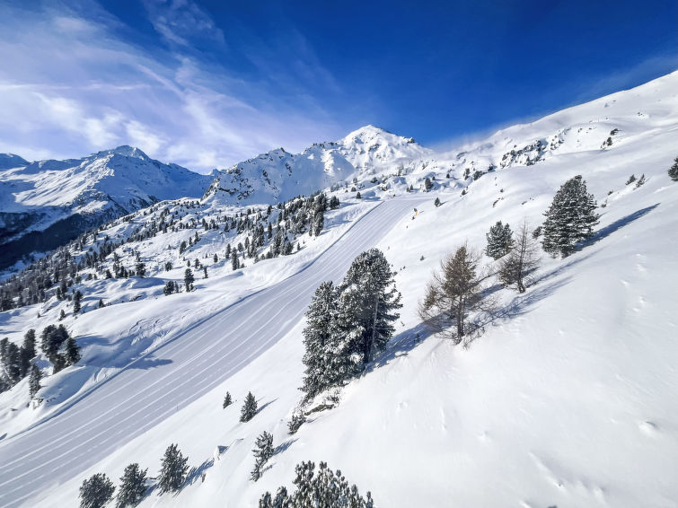 Foto van omgeving van Vakantiehuis Nendazin de winter