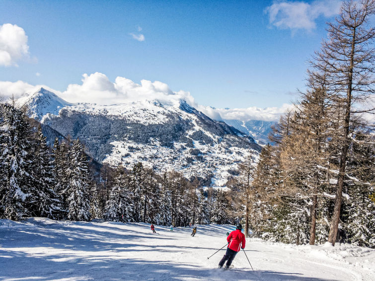 Foto van omgeving van Vakantiehuis Nendazin de winter