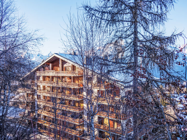 Foto van exterieur van Appartement Nendaz