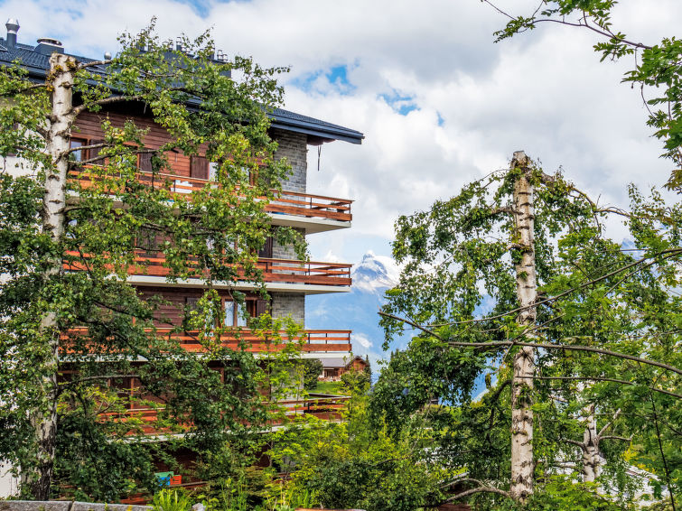 Foto van exterieur van Appartement Nendazin de winter