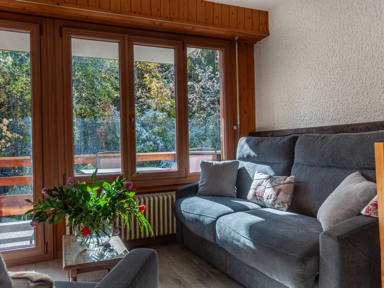 Foto van wonen van Appartement Nendaz