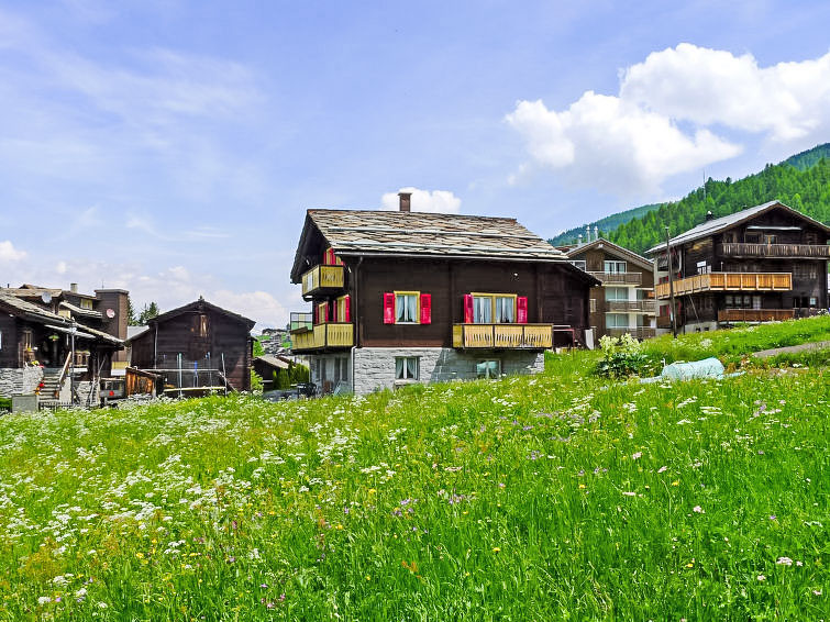 Foto van exterieur van Appartement Grächen Foto van exterieur van Appartement Grächen