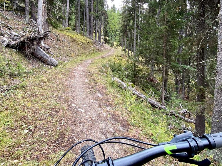 Foto van exterieur van Appartement Grächen Foto van exterieur van Appartement Grächen