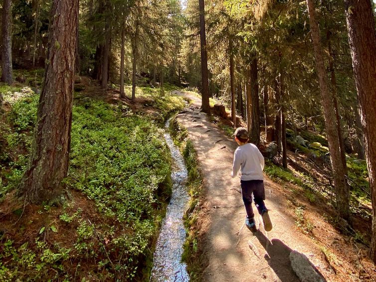 Foto van exterieur van Appartement Grächen Foto van exterieur van Appartement Grächen