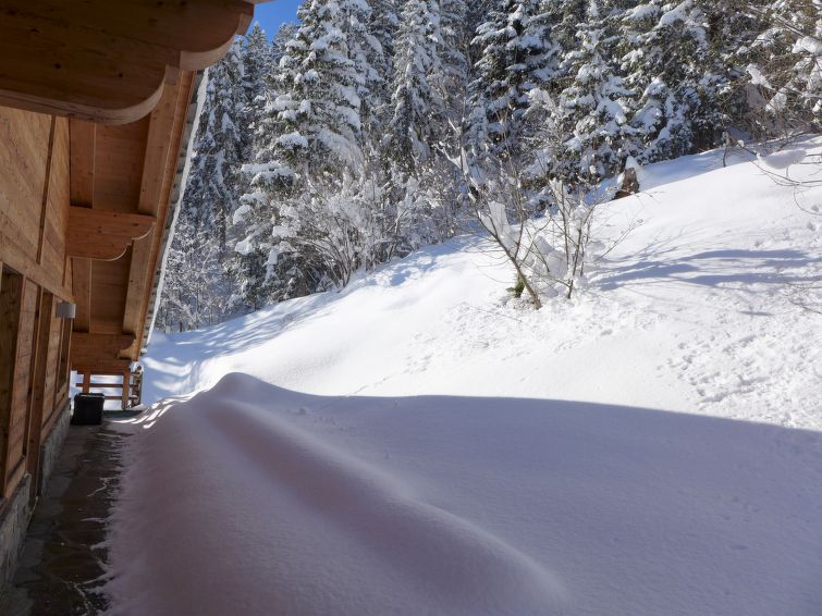 Foto van exterieur van Vakantiehuis Crans-Montanain de winter