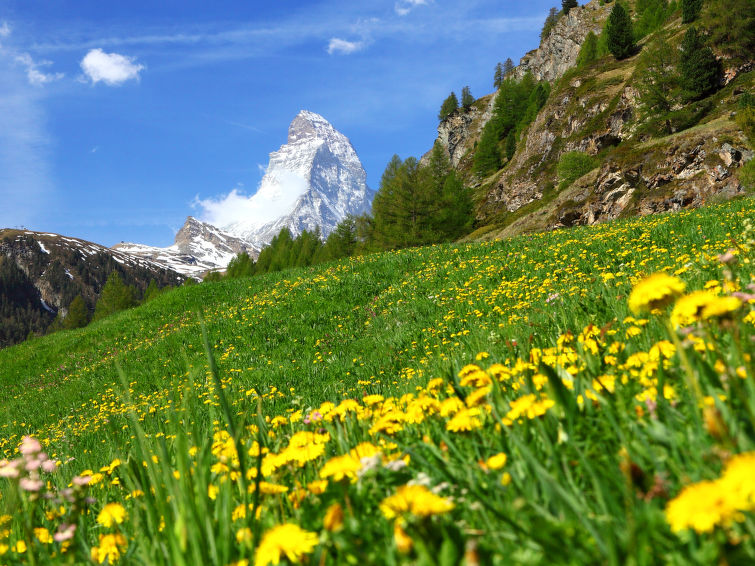 Foto van omgeving van Appartement Zermatt