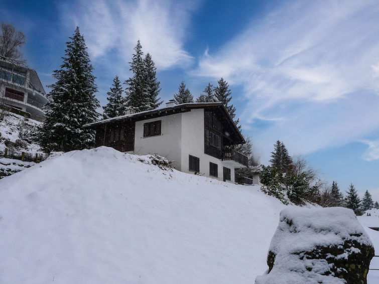 Foto van exterieur van Vakantiehuis Gommiswaldin de winter