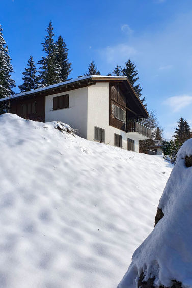 Foto van exterieur van Vakantiehuis Gommiswaldin de winter