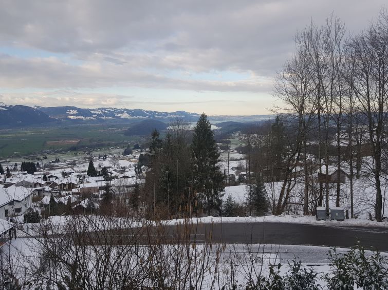 Foto van exterieur van Vakantiehuis Gommiswaldin de winter