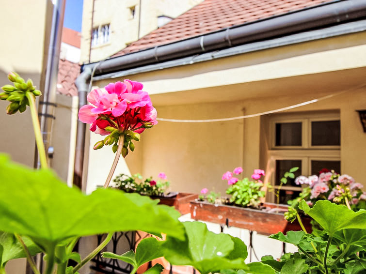 Foto van exterieur van Appartement Prague centre