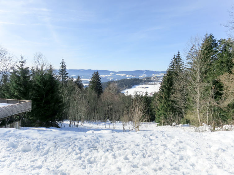 Foto van exterieur van Vakantiehuis Viechtachin de winter