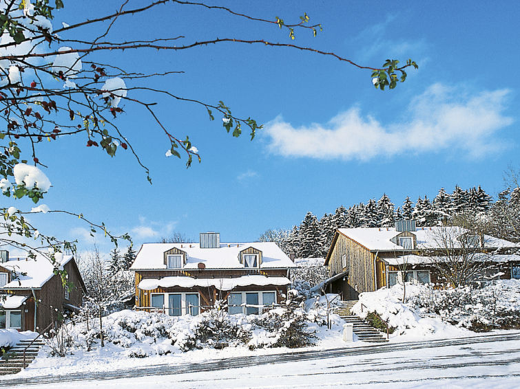 Foto van exterieur van Vakantiehuis Zandtin de winter