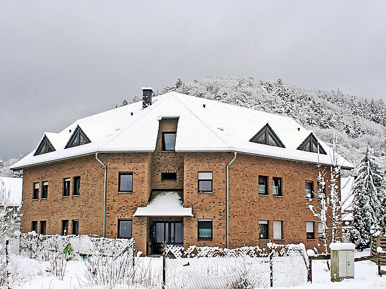 Foto van exterieur van Vakantiehuis Adenauin de winter