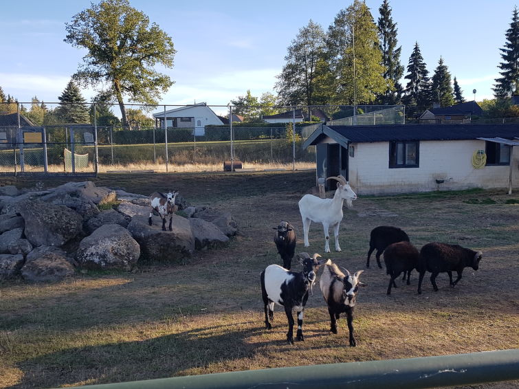 Foto van exterieur van Vakantiehuis Gerolstein