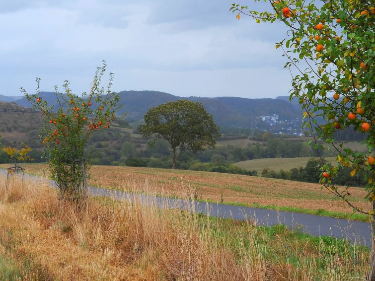 Foto van exterieur van Vakantiehuis Gerolstein