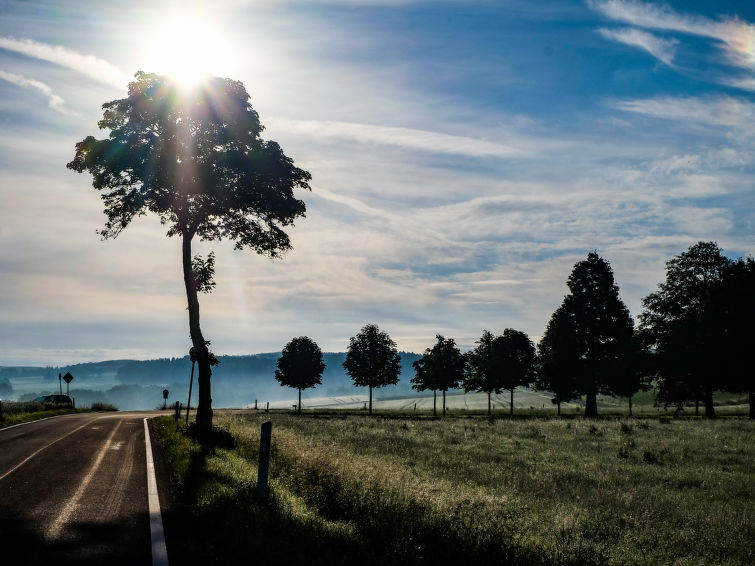 Foto van omgeving van Appartement Schönecken Foto van omgeving van Appartement Schönecken