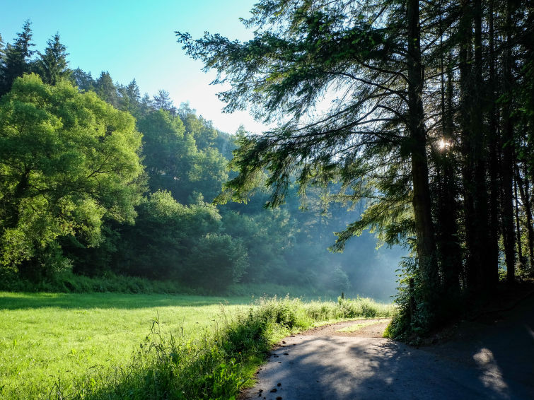 Foto van omgeving van Appartement Schönecken Foto van omgeving van Appartement Schönecken