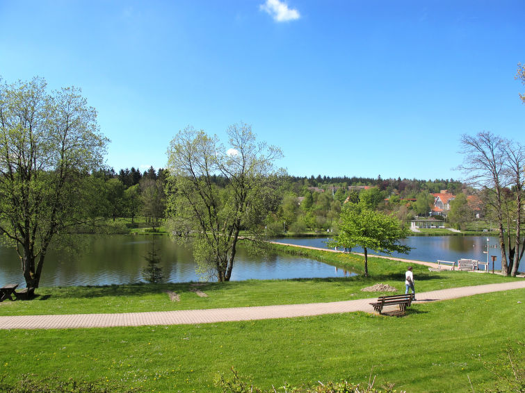 Foto van omgeving van Appartement Hahnenklee