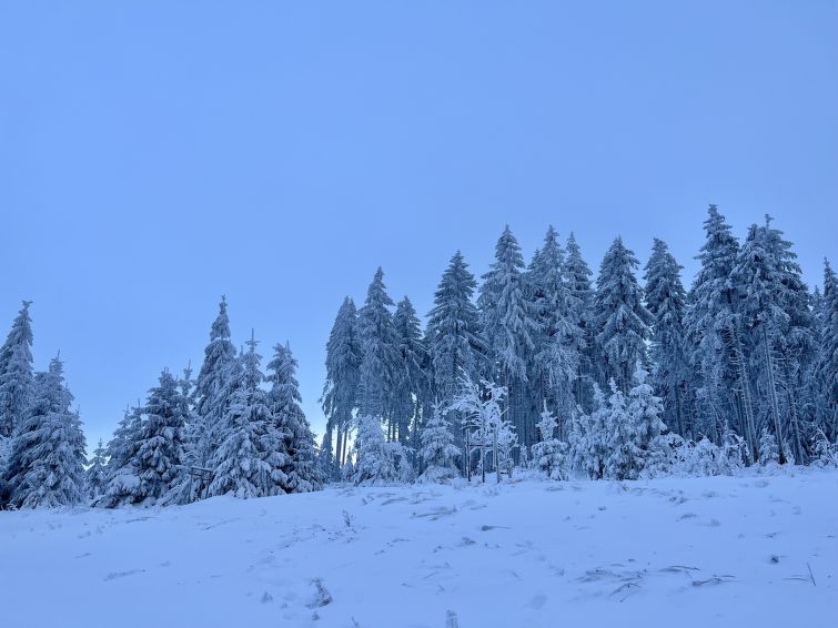 Foto van omgeving van Vakantiehuis Steinbach-Hallenbergin de winter