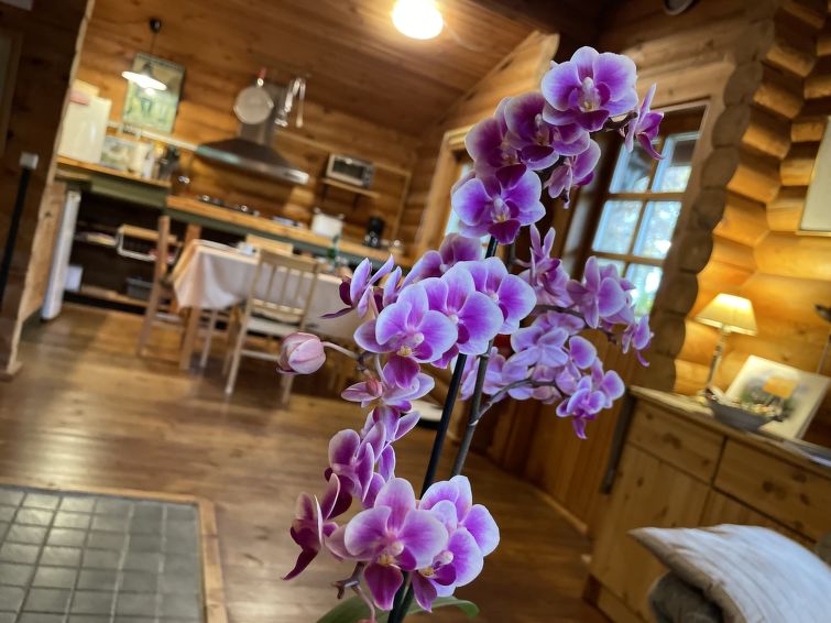 Foto van wonen van Vakantiehuis Leisel