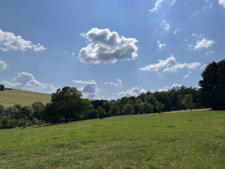 Foto van exterieur van Appartement Reichelsheim