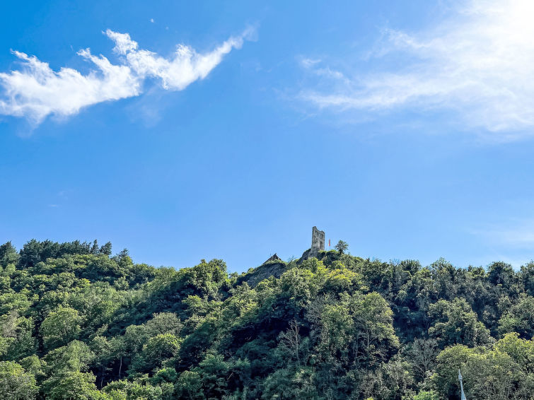 Foto van omgeving van Appartement Traben-Trarbach