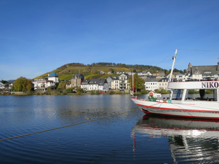 Foto van omgeving van Vakantiehuis Traben-Trarbachin de winter