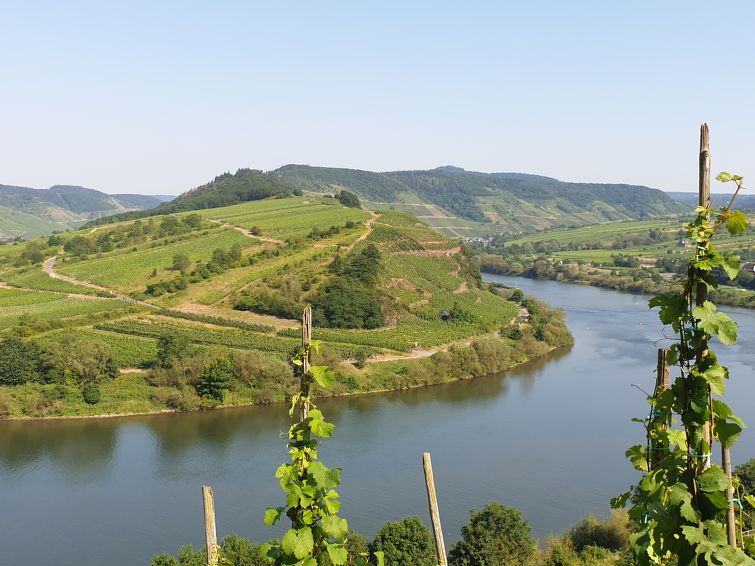 Foto van omgeving van Vakantiehuis Rhine - Mosel - Ahr - Lahn
