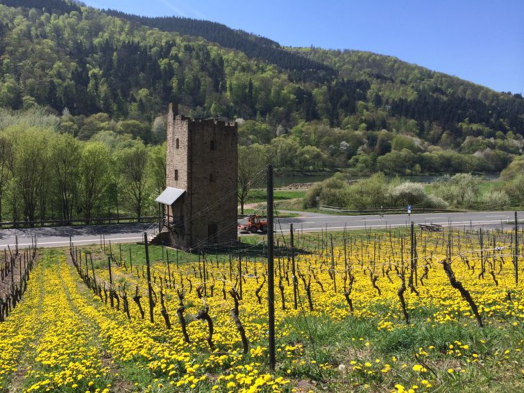 Foto van omgeving van Vakantiehuis Rhine - Mosel - Ahr - Lahn